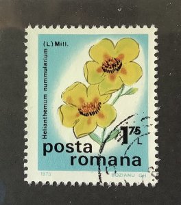 Romania 1975 Scott 2578  CTO - 1.75 l,  Flowers, Rockrose