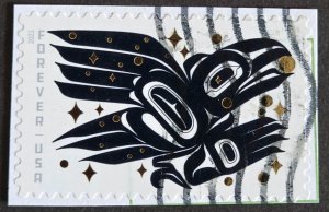 US 5620 (2021 Raven Story)