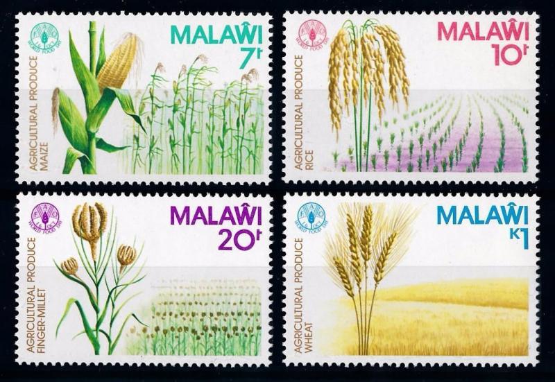 [65865] Malawi 1981 Flora Plants Maize Rice Wheat Fao  MNH