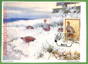 32894 - USSR - MAXIMUM CARD - FAUNA, BIRDS-