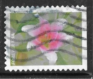 USA 5565: Asiatic Lily, off paper, used, VF