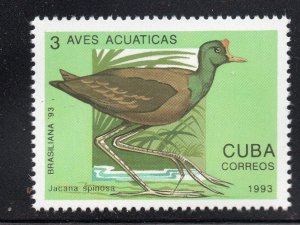 CUBA Sc# 3505  BIRDS BIRDS BIRDS  3c   1993  MNH