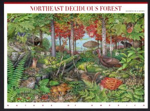 3899 Northeast Deciduous Forest-Nature of America Sheet from 2005 MNH