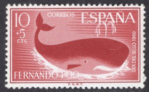 FERNANDO PO SCOTT B3