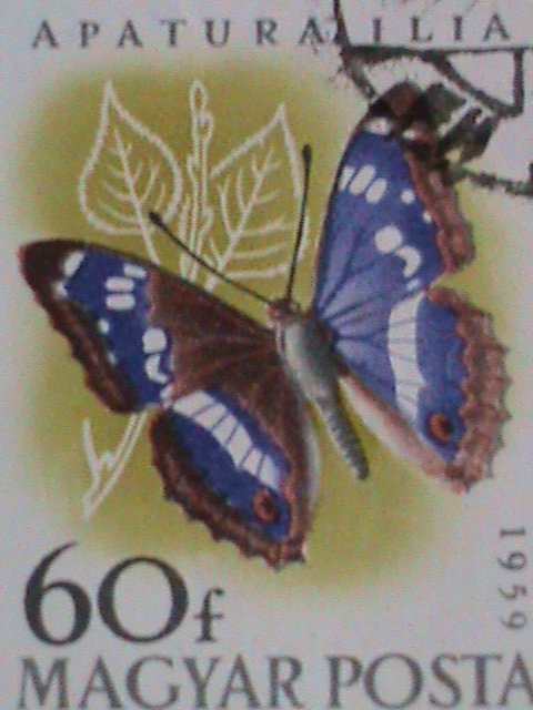 HUNGARY STAMP- COLORFUL BEAUTIFUL LOVELY BUTTERFLY JUMBO LARGE CTO STAMPS-VF