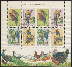 Poland 2004 used Sc #3726 Birds Complete sheet of 2 blocks of 4