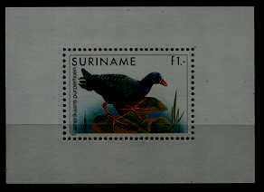 Suriname 725a MNH s/s Birds SCV6