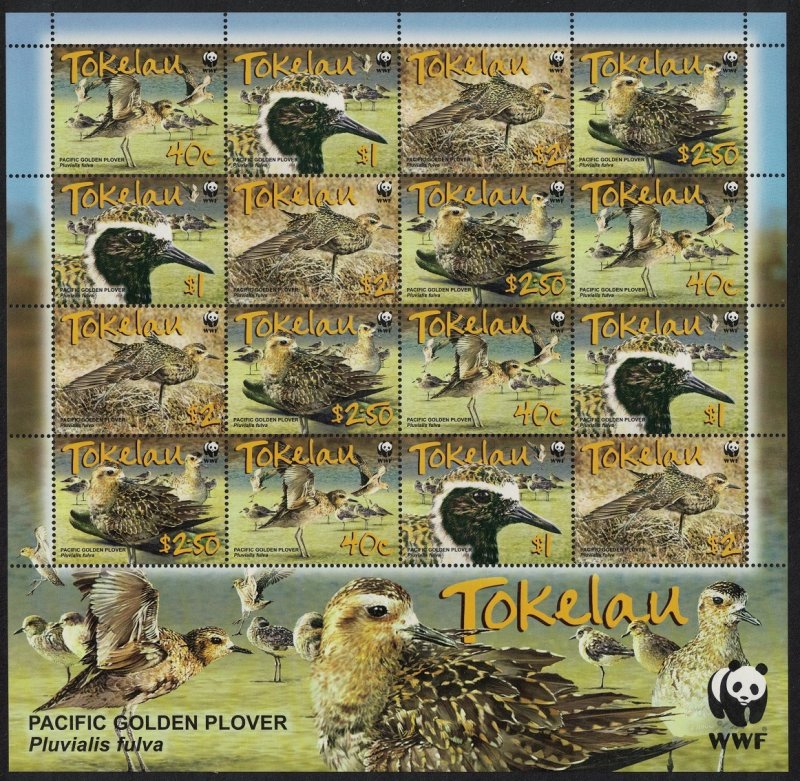 Tokelau Birds WWF Pacific Golden Plover Sheetlet of 4 sets 2007 MNH