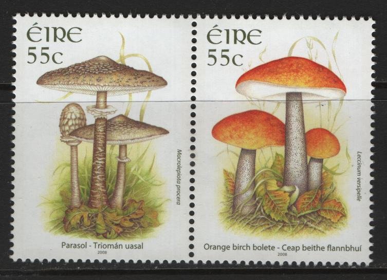 IRELAND, 1797A, PAIR, MNH, 2008, MUSHROOMS