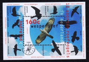 Netherlands 1995 Honey Buzzard - Birds Mint MNH Miniature Sheet SC 891