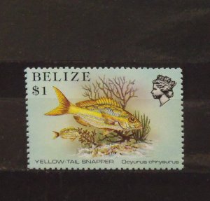 8762   Belize   MNH # 711a     Yellow Tailed Snapper     CV$ 2.75