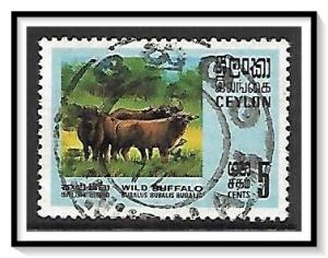 Ceylon #439 Wild Water Buffalo Used