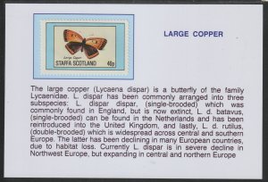 LARGE COPPER BUTTERFLY  mounted on glossy card with text