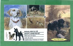 Carpe Diem Animal Rescue - Black Lab Puppies