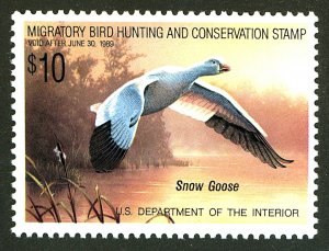 U.S. #RW55 MINT OG NH