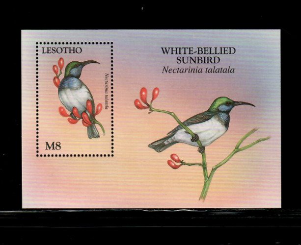 Lesotho 1998 - Wild Animals Birds - Souvenir Stamp Sheet - Scott #1094 - MNH