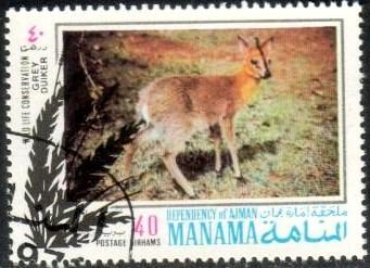 Grey Duiker, Wildlife Conservation, Manama stamp Used