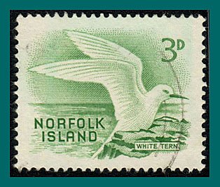 Norfolk Island 1961 White Tern, used #31,SG26