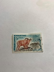 Mauritania #122