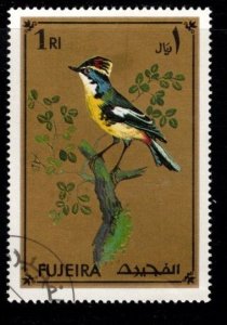 Fujeira -  Birds Unlisted  - Used