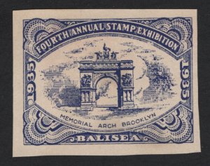 United States MINT 1935 STAMP EXHIBITION CINDERELLA  VF BLUE  - BARNEYS