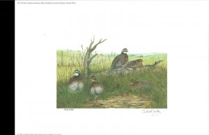 NEW ZEALAND 2012 DUCK STAMP PRINT  Bobwhite Quail by Janet Marshall Reg $195