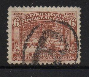 Newfoundland Sc 66 1897 6c  logging stamp used