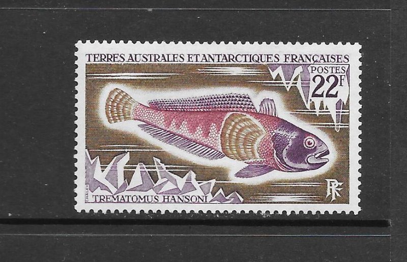 FISH - FRENCH SOUTHERN ANTARCTICTERRITORY #40  CODFISH   MNH