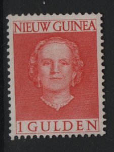 Netherlands New Guinea   #19  MNH 1952  Juliana   1g
