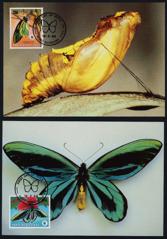 Papua New Guinea 697-700 on Maxi Cards - Butterflies, Insects, Flower