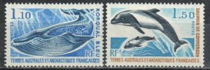 French Southern Antarctic Territories Stamp 67-68  - Marine life