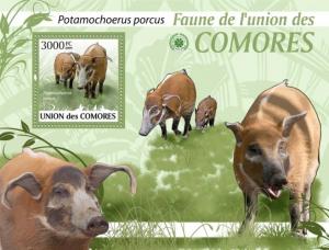 COMORES 2009 SHEET POTAMOCHOERUS PORCUS WILD BOARS WILD PIGS WILDLIFE cm9415b