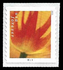 PCBstamps   US #5771 Coil Sgl {63c}Tulip Blossoms, MNH, (2)