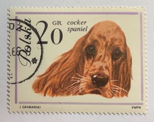 Poland 1963 Scott 1115 CTO - 20gr,  Dogs, Cocker Spaniel