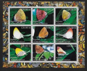 Turkmenistan Unlisted Moths Mini-Sheet MNH