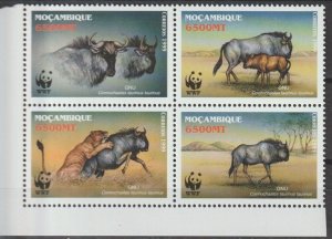 MOZAMBIQUE 2000 WWF SG 1542/5 MNH