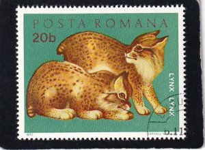 Romania     #    2315     used