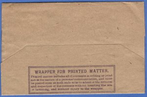 CEYLON 1913 KGV 2c Violet  Newspaper Wrapper, used COLOMBO, H&G Unlisted Size