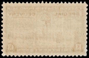 United States - Scott E17 - Mint-Never-Hinged