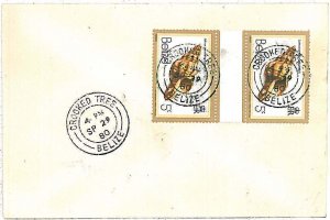 28711 - BELIZE - Postal History - COVER from CROOKED TREE  1980