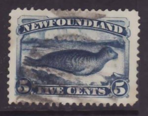 Newfoundland-Sc#55- id20-used 5c bright blue Seal-1894-