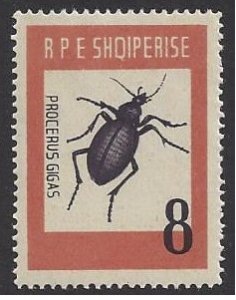 Albania #662 MNH single, beetles, procerus gigas, issued 1963