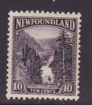 Newfoundland-Sc#139- id21-unused og VLH 10c dark violet Humber River Canyon-1923