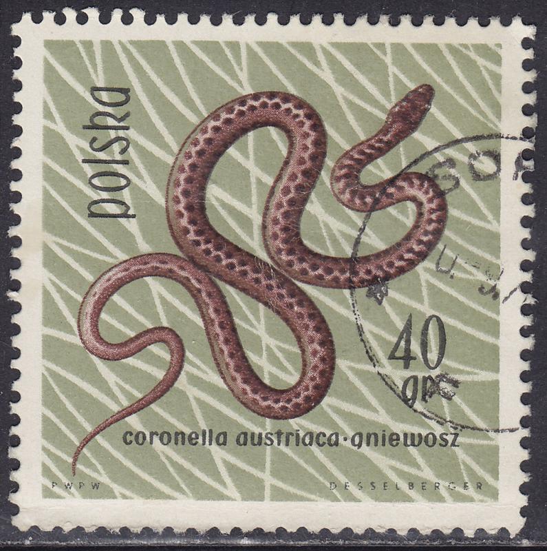 Poland 1135 Smooth Snake 1963