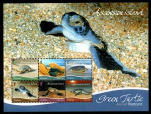 ASCENSION SGMS1220 2015 GREEN TURTLE MNH