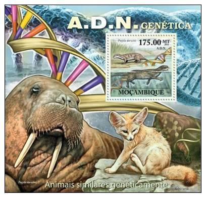 MOZAMBIQUE 2011 SHEET MNH ADN GENETICS ANIMALS FOX SEA LIONS