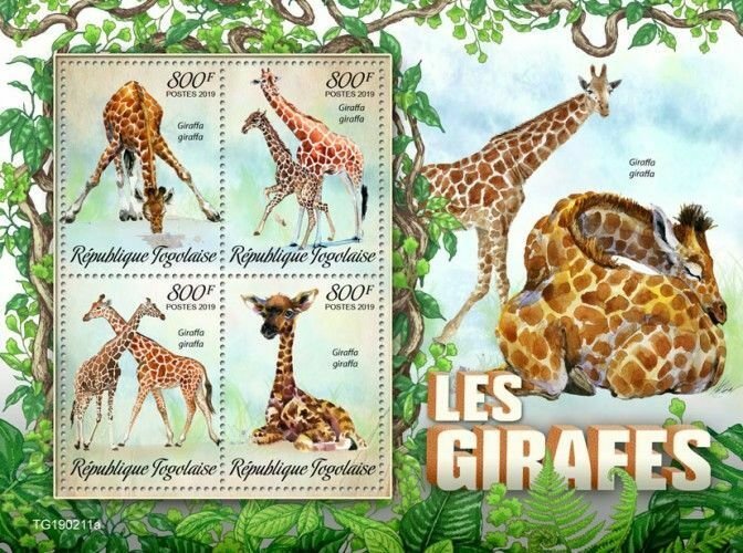 Z08 TG190211a TOGO 2019 Giraffes MNH ** Postfrisch