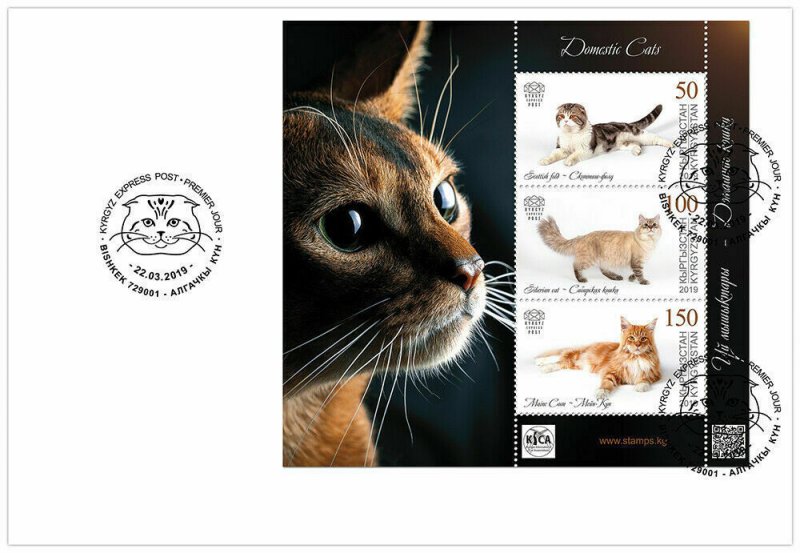 KYRGYZSTAN (KEP) / 2019 - (FDC2) Domestic Cats (Scottish fold), MNH 