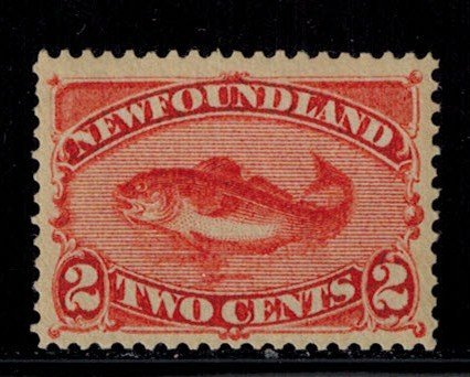 Newfoundland 48  Mint Light Hinge  very fresh copy Superb