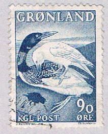 Greenland Sea birds 90 - pickastamp (AP102806)